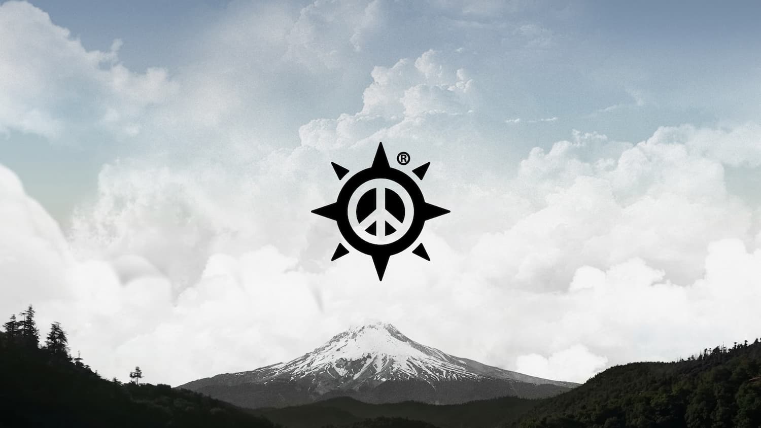 MTC | We Travel For Peace